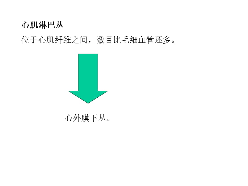 心脏8淋巴心包.ppt_第3页