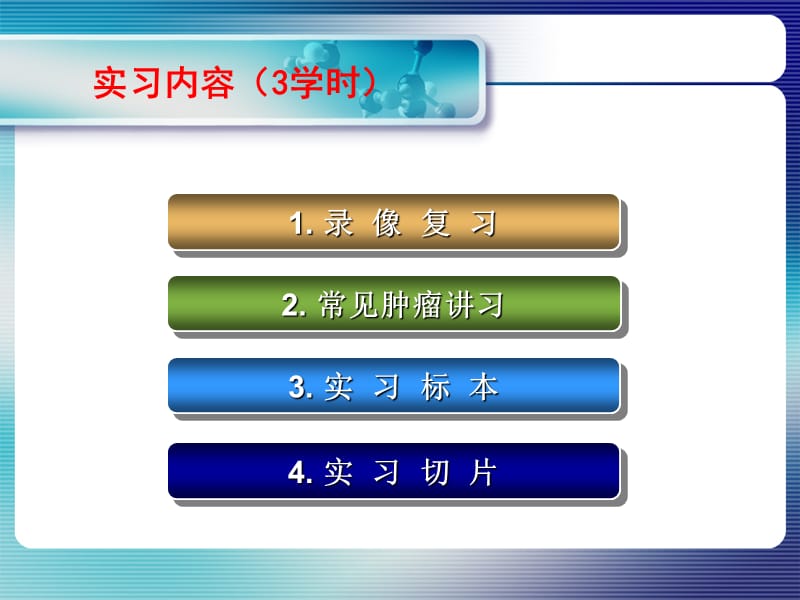 实习08 肿瘤的生长与扩散、良恶性、癌与肉瘤.ppt_第3页