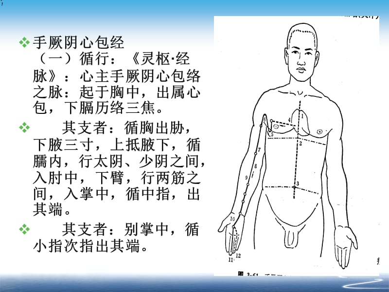 手厥阴心包经.ppt_第3页