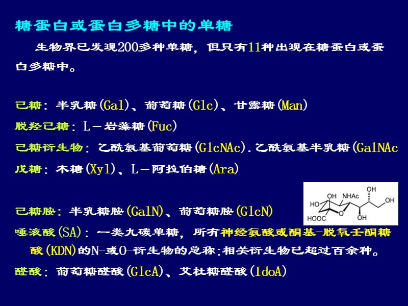 第十一章糖蛋白与蛋白聚糖.ppt_第3页