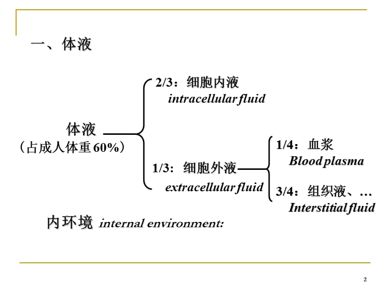 凝血DIC.ppt_第2页