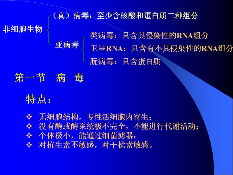 第三章病毒和亚病毒.ppt_第2页