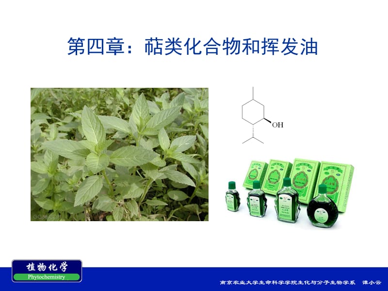 南农植物化学第四章 萜类化合物和挥发油.ppt_第1页