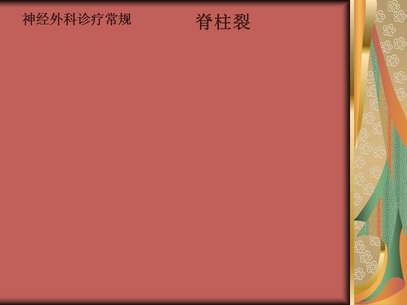 先天性疾病-脊柱裂.ppt_第1页