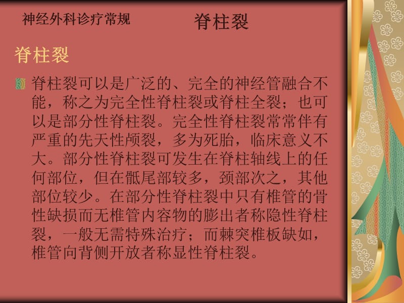 先天性疾病-脊柱裂.ppt_第2页