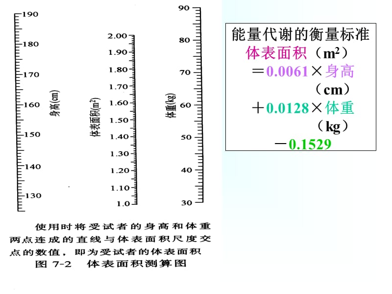 第七章能量代谢与体温.ppt_第3页