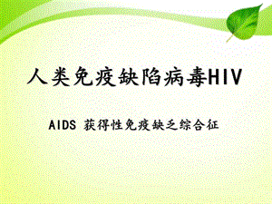 HIV的致病机理.ppt