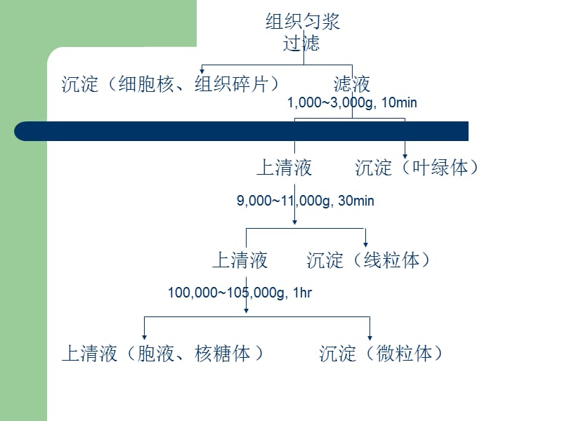 农药的代谢.ppt_第3页