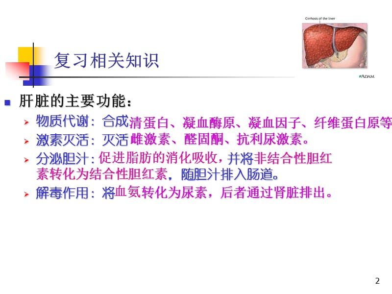 肝硬化病人的护理cirrhosisofliver课件.ppt_第2页