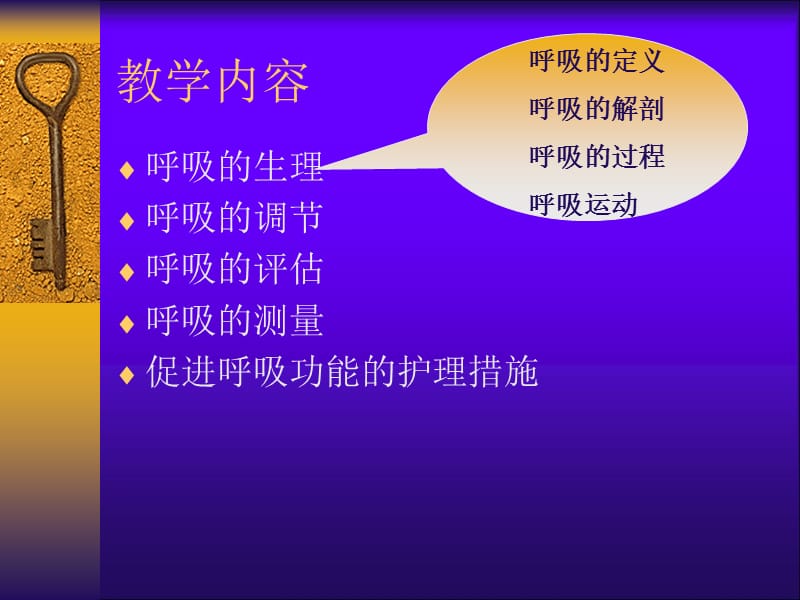 生命体征的观察和(呼吸).ppt_第3页