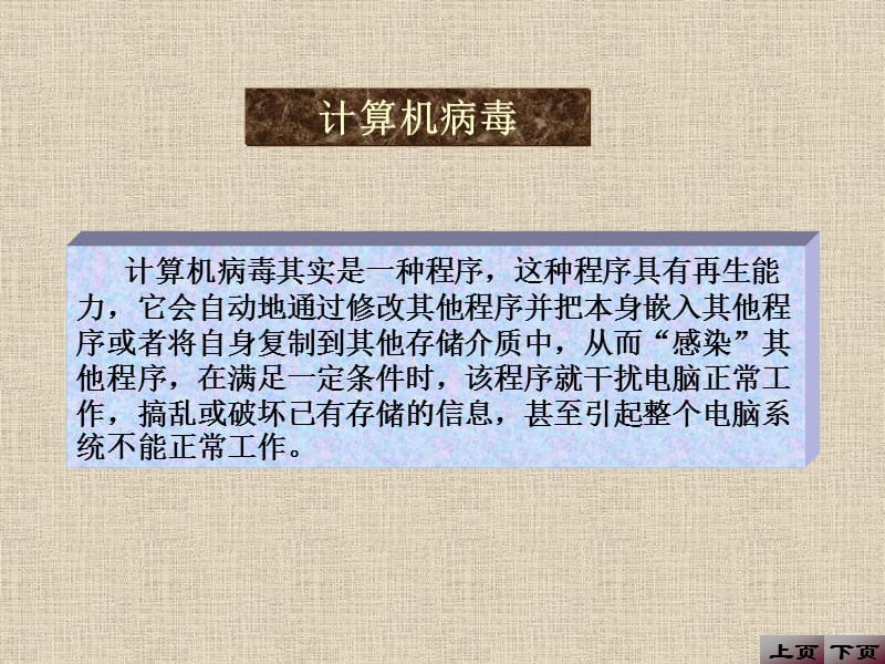 计算机病毒小学信息技术.ppt_第2页