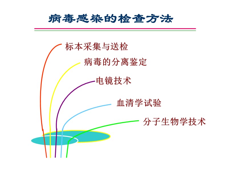 病毒感染的检查方法.ppt_第1页