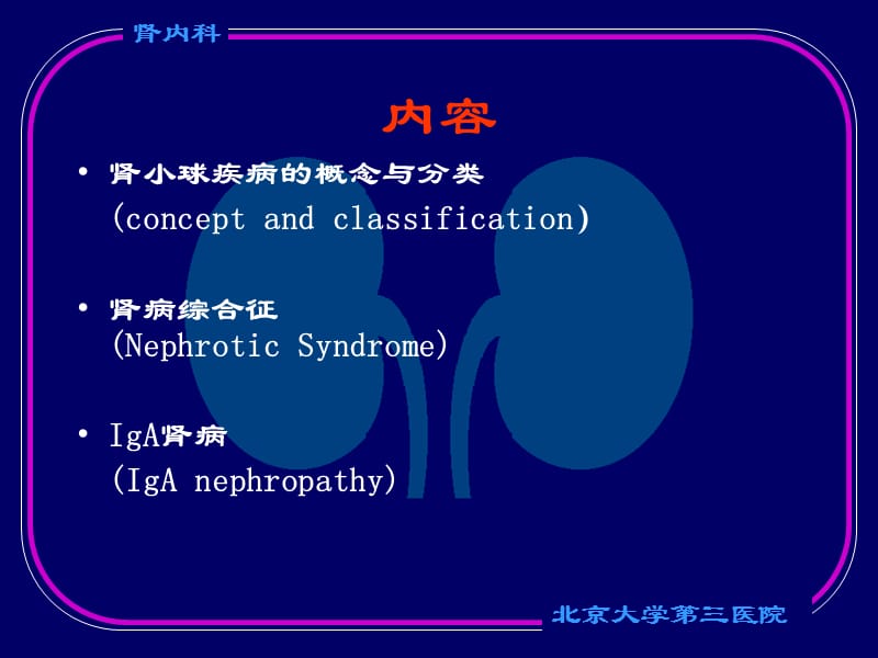 肾小球疾病.ppt_第2页