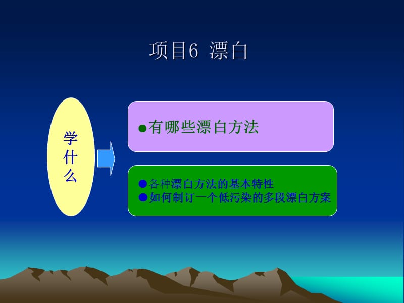 项目6纸浆的漂白制浆技术.ppt_第3页