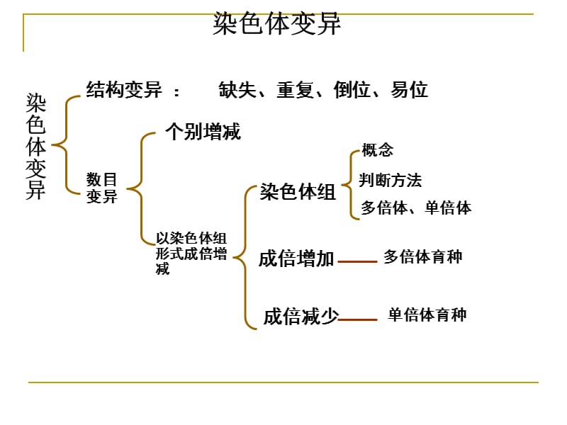 生物必修二5.2染色体变异.ppt_第2页