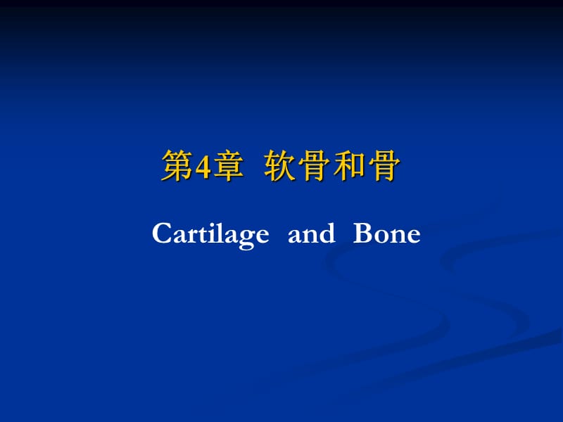 软骨和骨.ppt_第1页