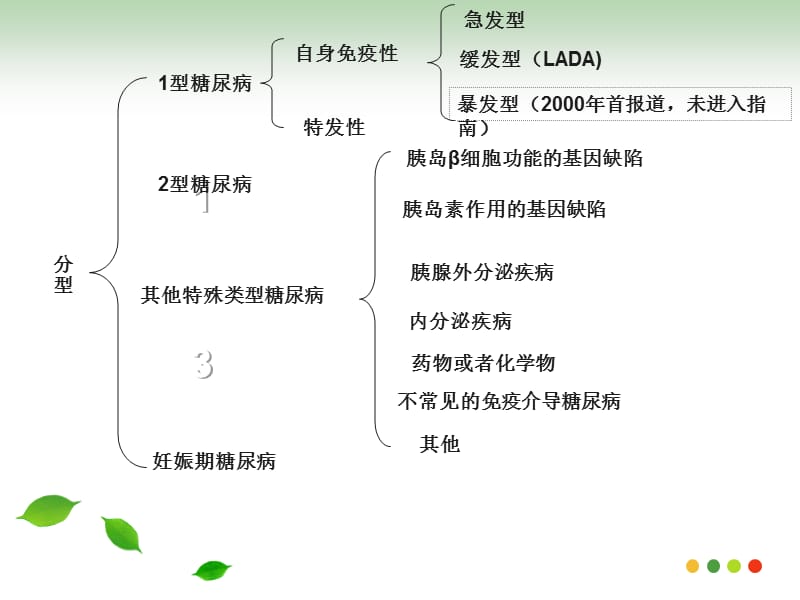 糖尿病分型.ppt_第2页