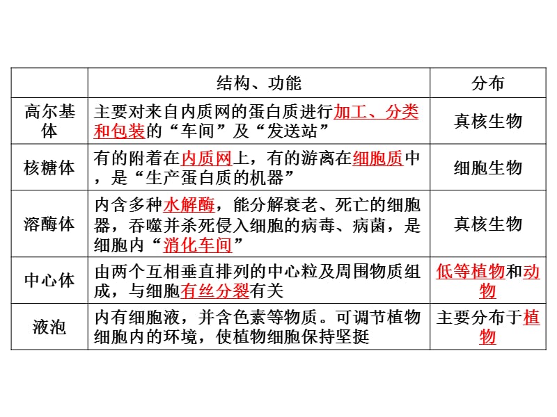 细胞器之间的分工.ppt_第2页