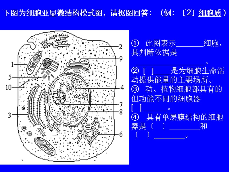 生物高中必修1第三章第三节课件1.ppt_第2页