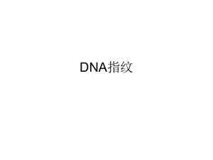 深圳大学理科选修《遗传学发现》课件 15 DNA指纹.ppt