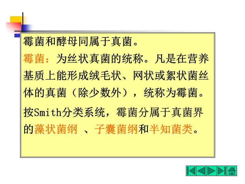 霉菌的形态和结构.ppt_第2页