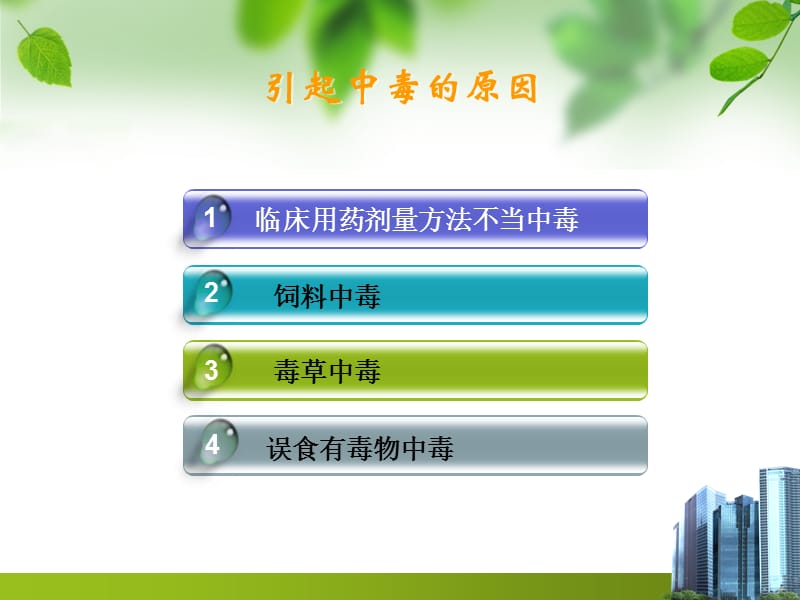 牛中毒性疾病.ppt_第3页