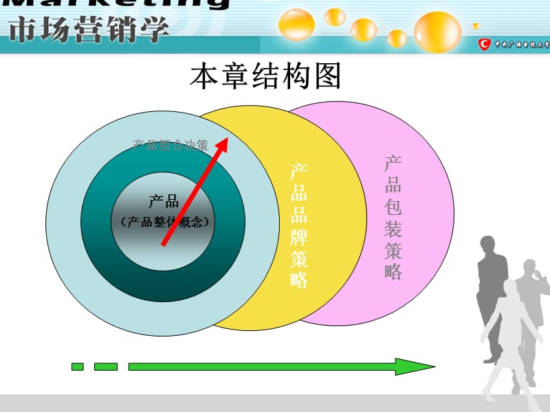 第八章产品策略产品产品组合品牌与包装.ppt_第2页