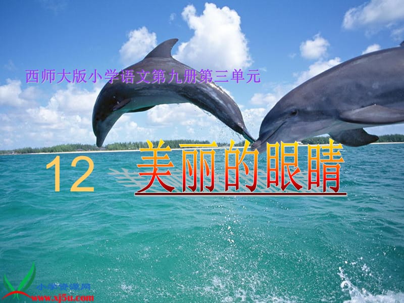 西师大版五年级语文上册《美丽的眼睛》PPT课件.ppt_第2页