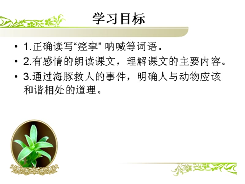 西师大版五年级语文上册《美丽的眼睛》PPT课件.ppt_第3页