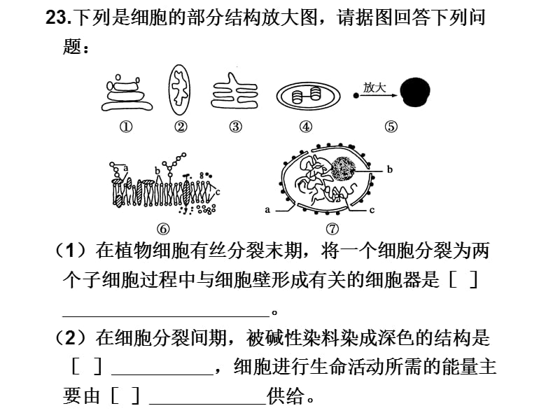 跨膜运输的实例 高用.ppt_第1页