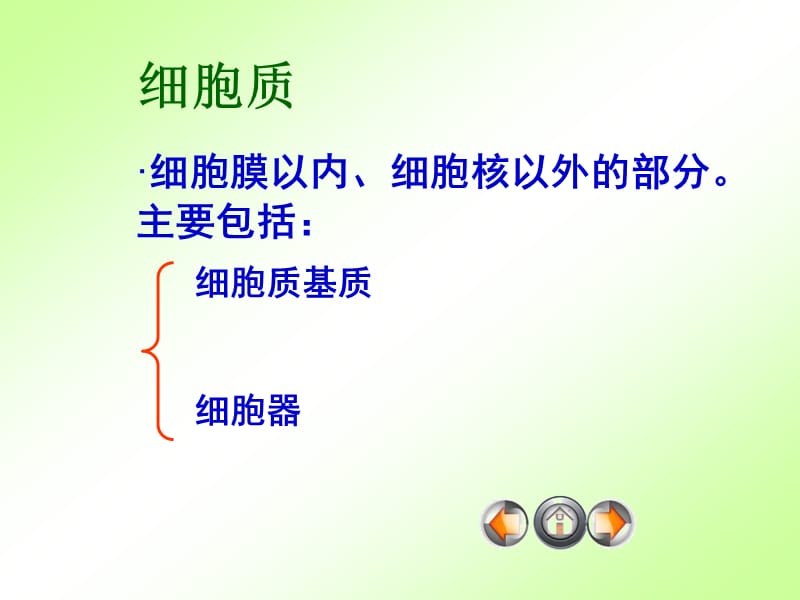 细胞质结构和功能.ppt_第2页