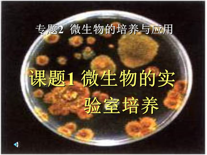 苏教版教学课件09年江苏地区生物学科选修微生物的实验室培养(苏教版).ppt_第1页