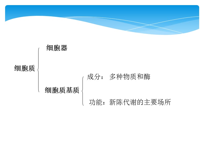 细胞质基质.ppt_第3页