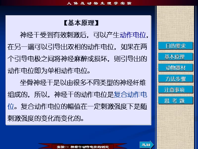 神经干实验.ppt_第3页