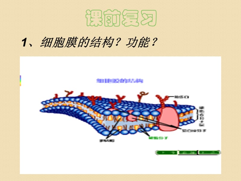 生物：4.1《细胞的生物膜系统》课件2(选修全一册).ppt_第1页