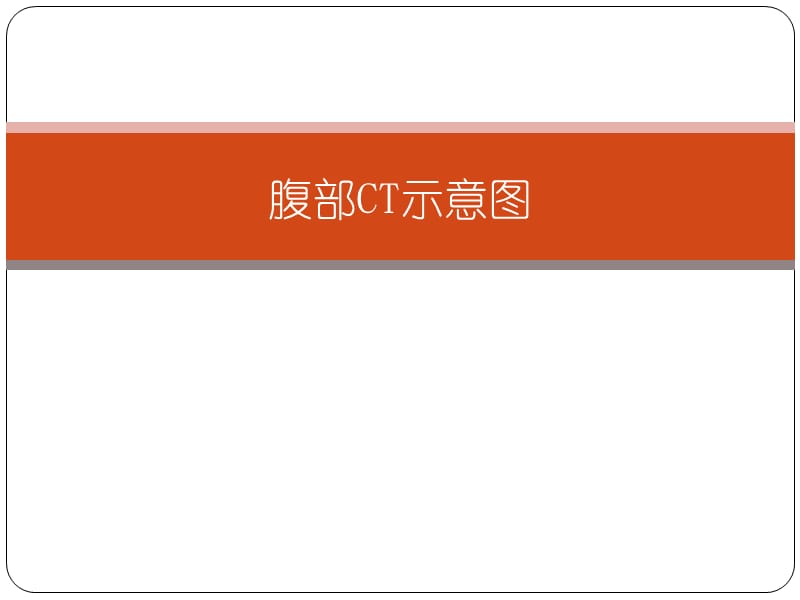 腹部CT示意图.ppt_第1页