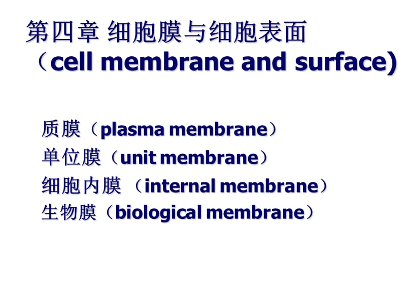 细胞膜与表面.ppt_第1页