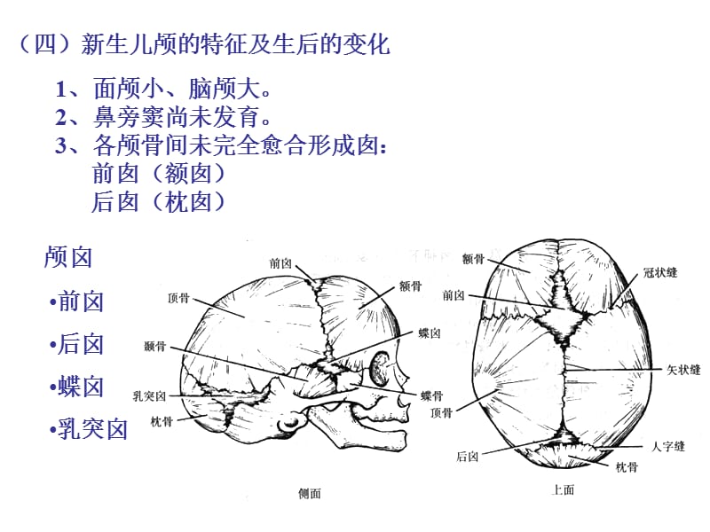 颅脑影像解剖与病变3.ppt_第3页