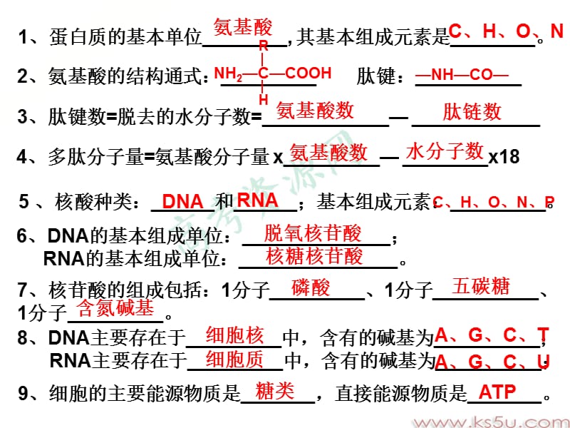 蛋白质的基本单位其基本组成元素是.ppt_第1页