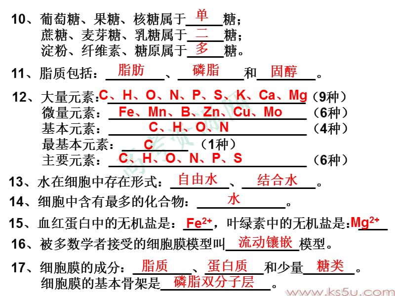 蛋白质的基本单位其基本组成元素是.ppt_第2页