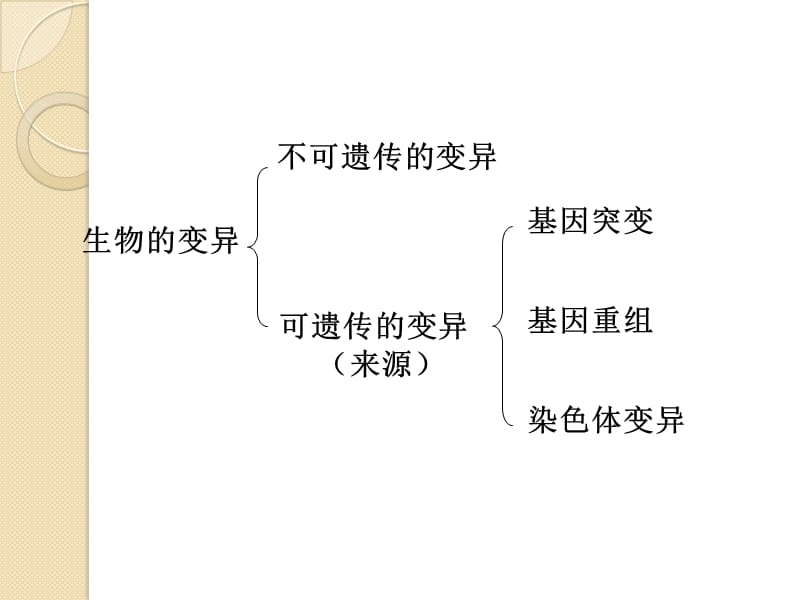 生物：《基因突变》高三复习课件.ppt_第2页