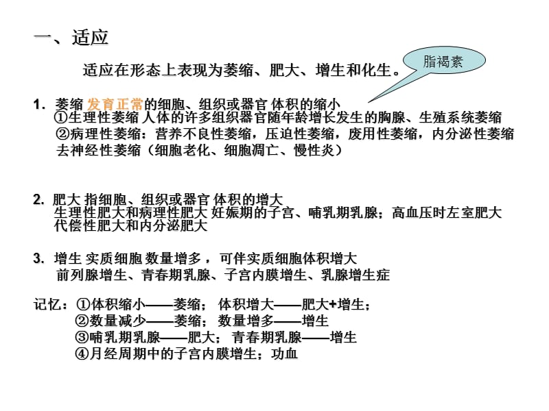 适应损伤修复 血障,炎症、肿瘤复习.ppt_第2页