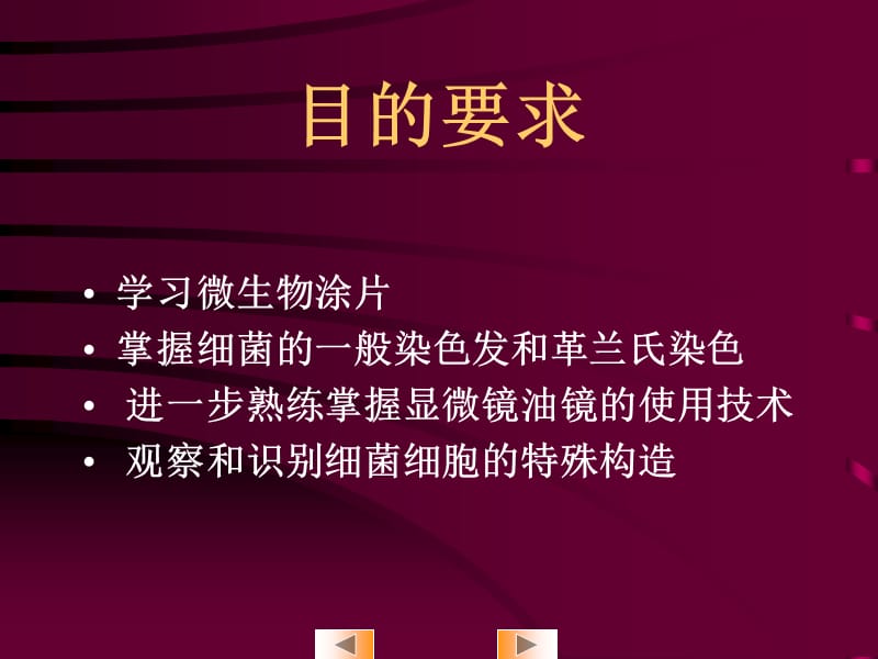 细菌的染色及观察.ppt_第3页