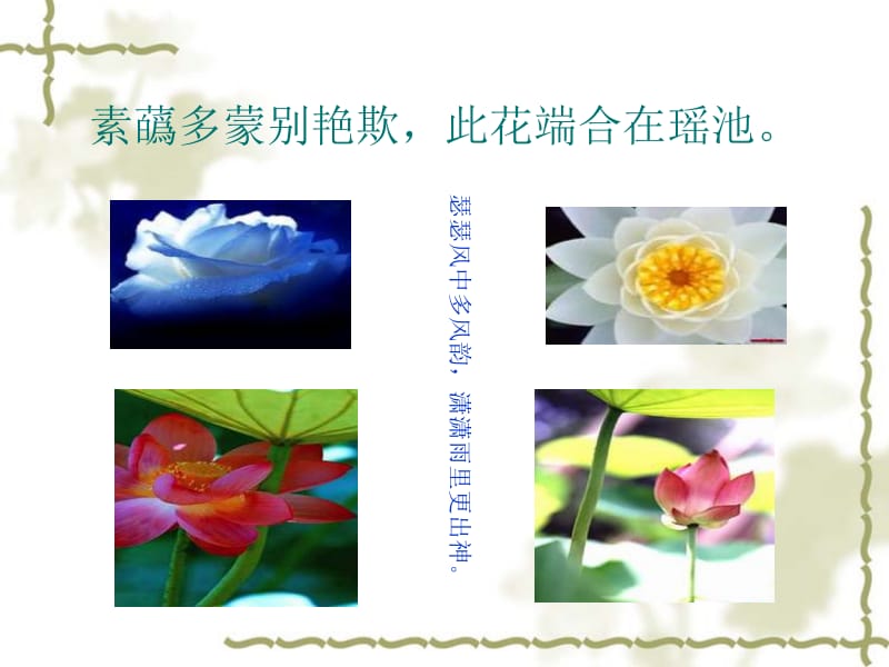 清水出芙蓉天然去雕饰.ppt_第2页