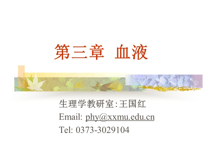 生理学_血液1.ppt_第1页