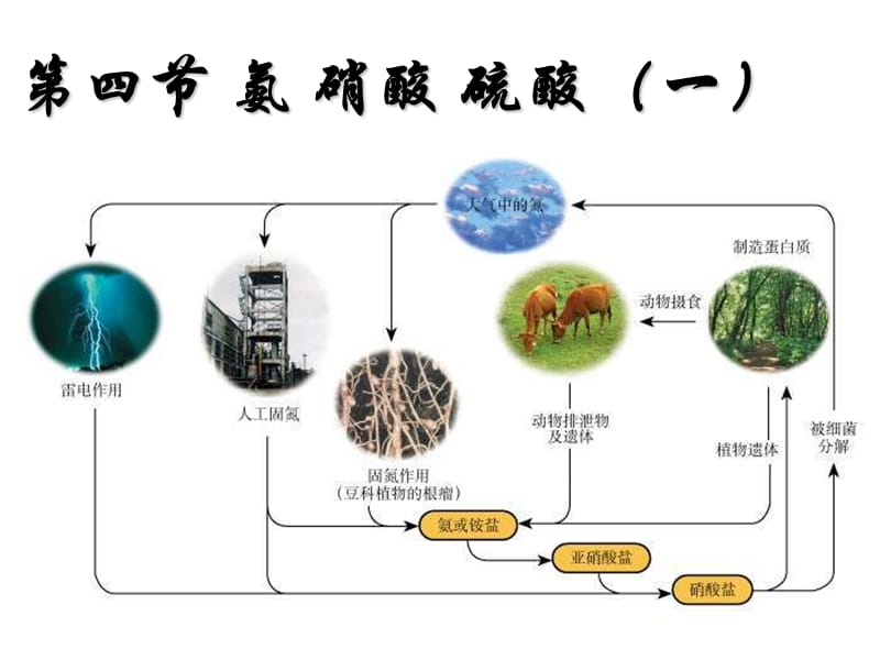 高一化学氨硝酸硫酸.ppt_第1页