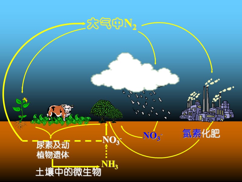 高一化学氨硝酸硫酸.ppt_第2页