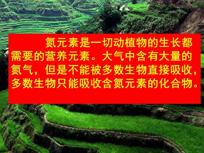 高一化学氨硝酸硫酸.ppt_第3页