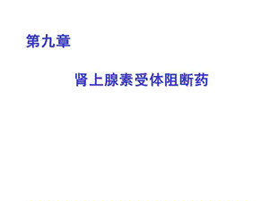 肾上腺素受体阻断药.ppt