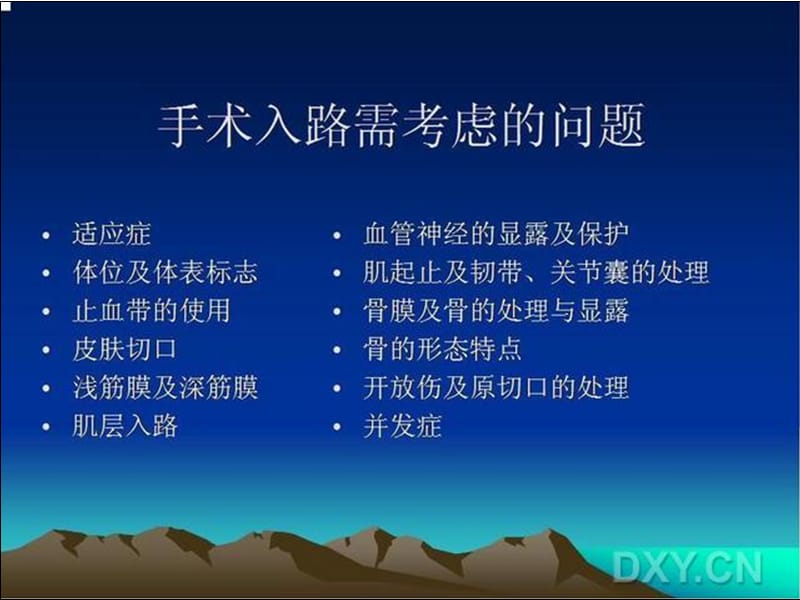 骨科手术入路总述.ppt_第3页